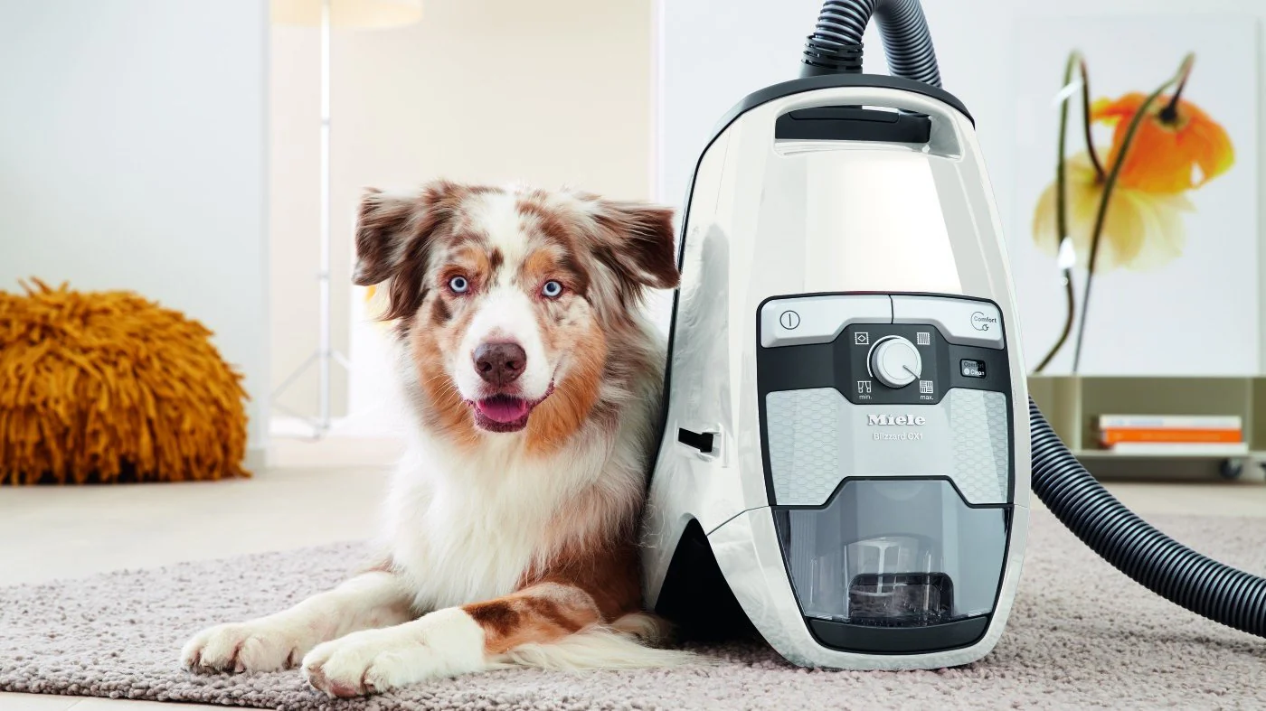 Miele Blizzard CX1 Cat & Dog Bagless Canister Vacuum Cleaner - Image 4