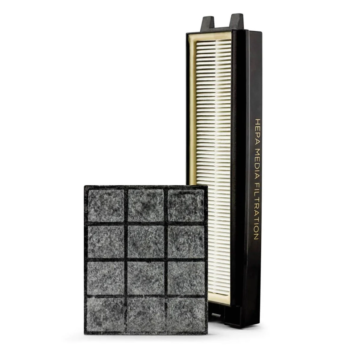 Riccar Clean Air Upright Premium HEPA and Granulated Charcoal Filter Set (R25P)
