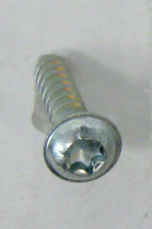 Sebo 01017 Screw STS 4 x 20-T20