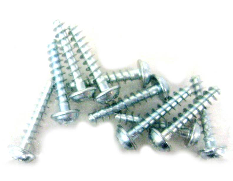 Sebo 01017ER Screw STS 4 x 20-T20 10pk