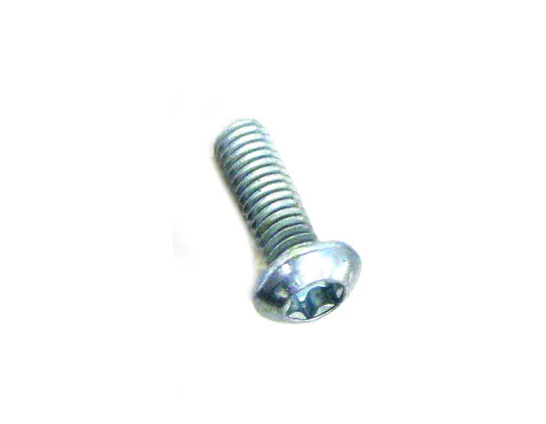 Sebo 0199 Screw M 4x 12 ISO 7380