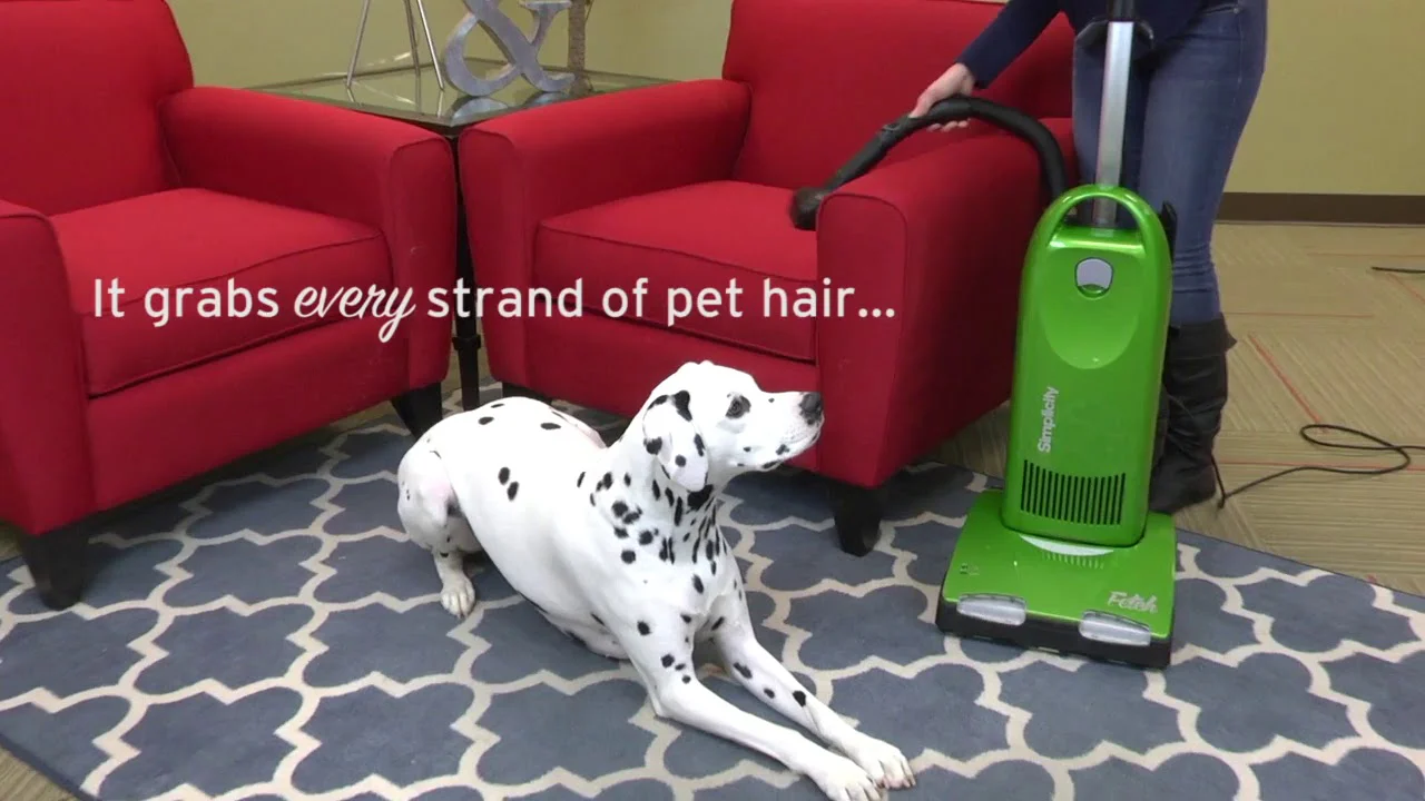 Simplicity Pet Hair Beware! Fur Remover - Image 4